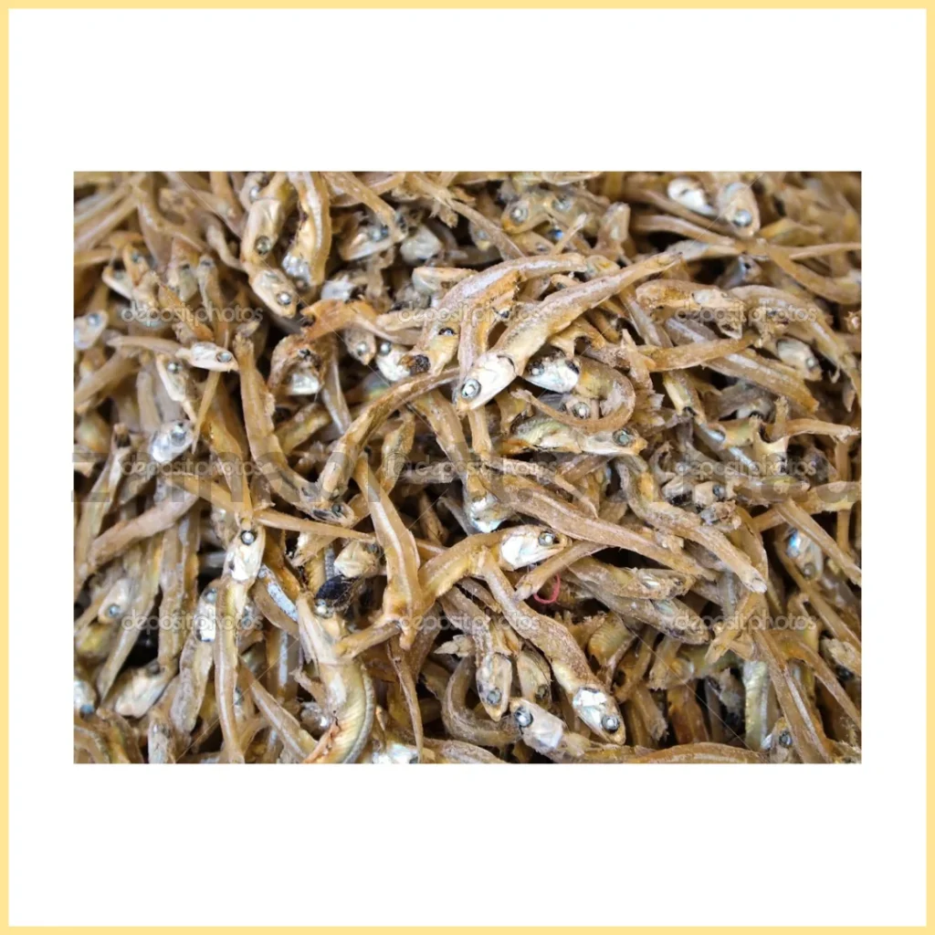 Anchovy Headless