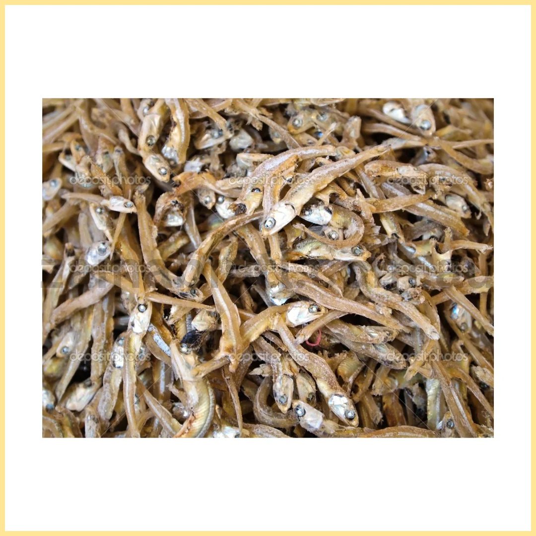 Anchovy Headless