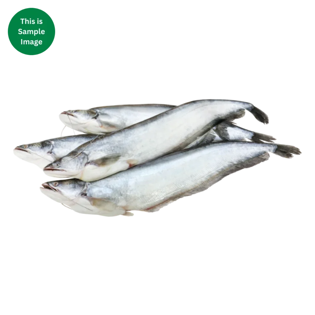 Boal Fish