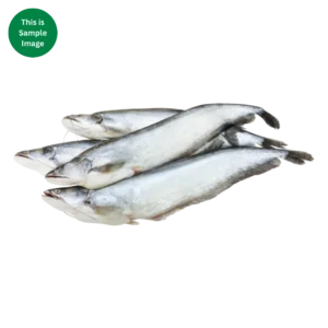 Boal Fish