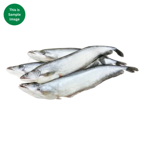 Boal Fish