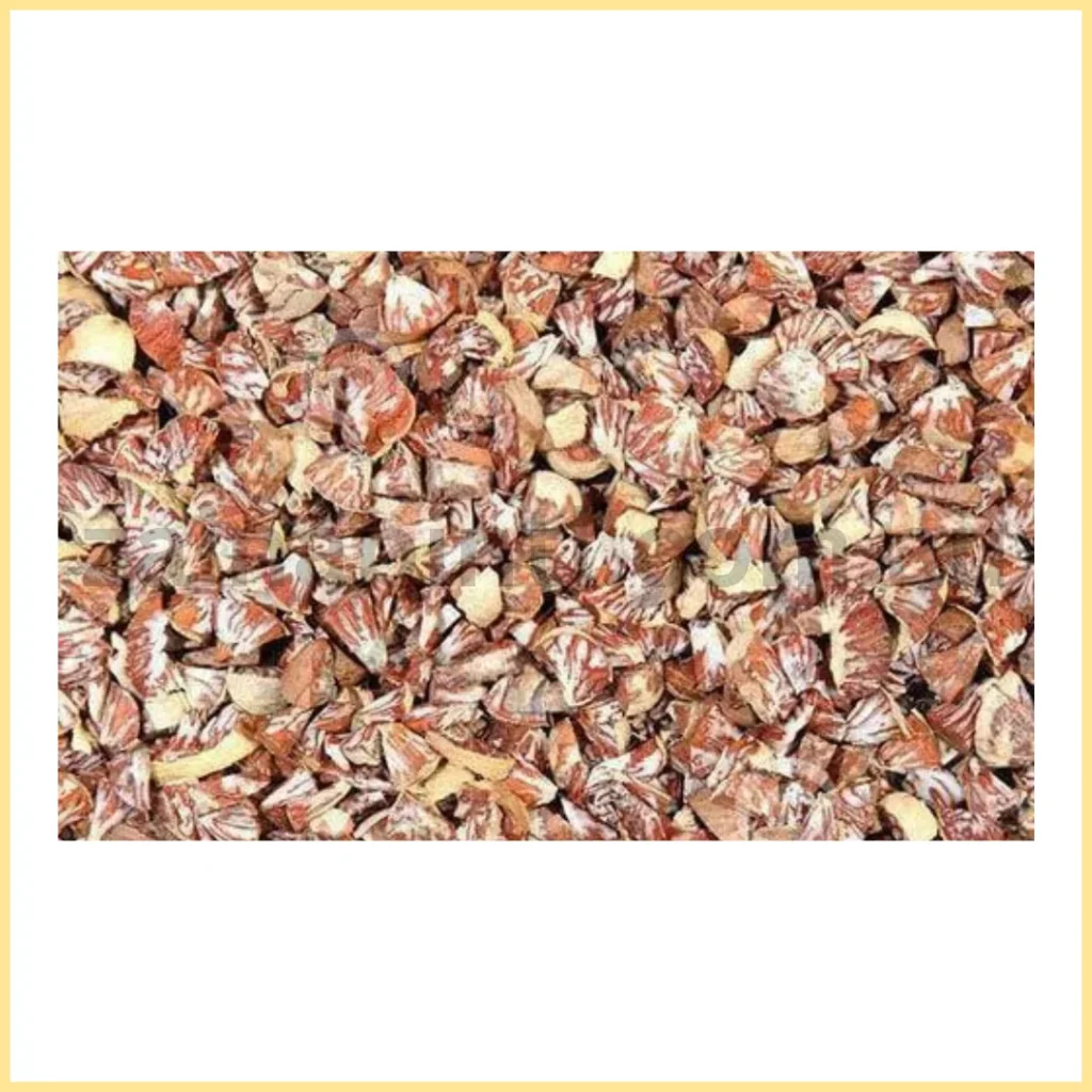 DRIED BETEL NUTS (1000G) DM CUT (For Puja)