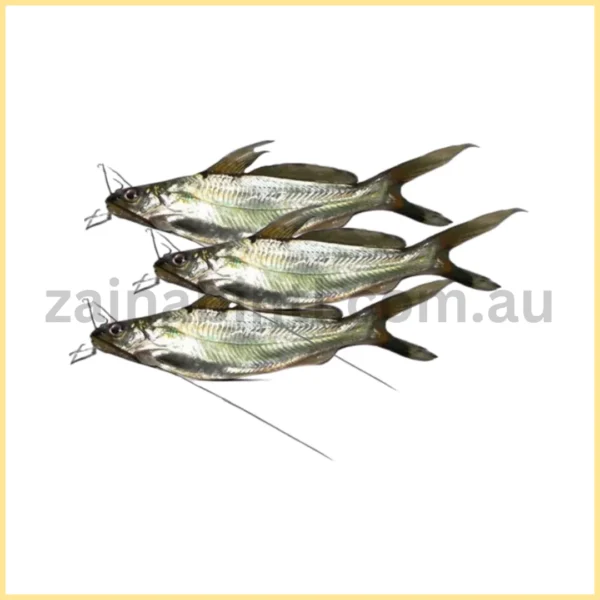 Gulsha Fish