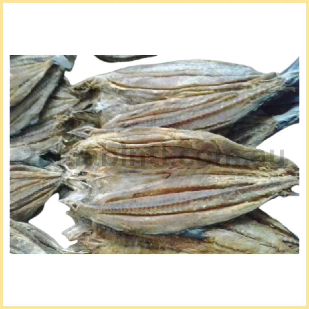 King Fish Jamboo