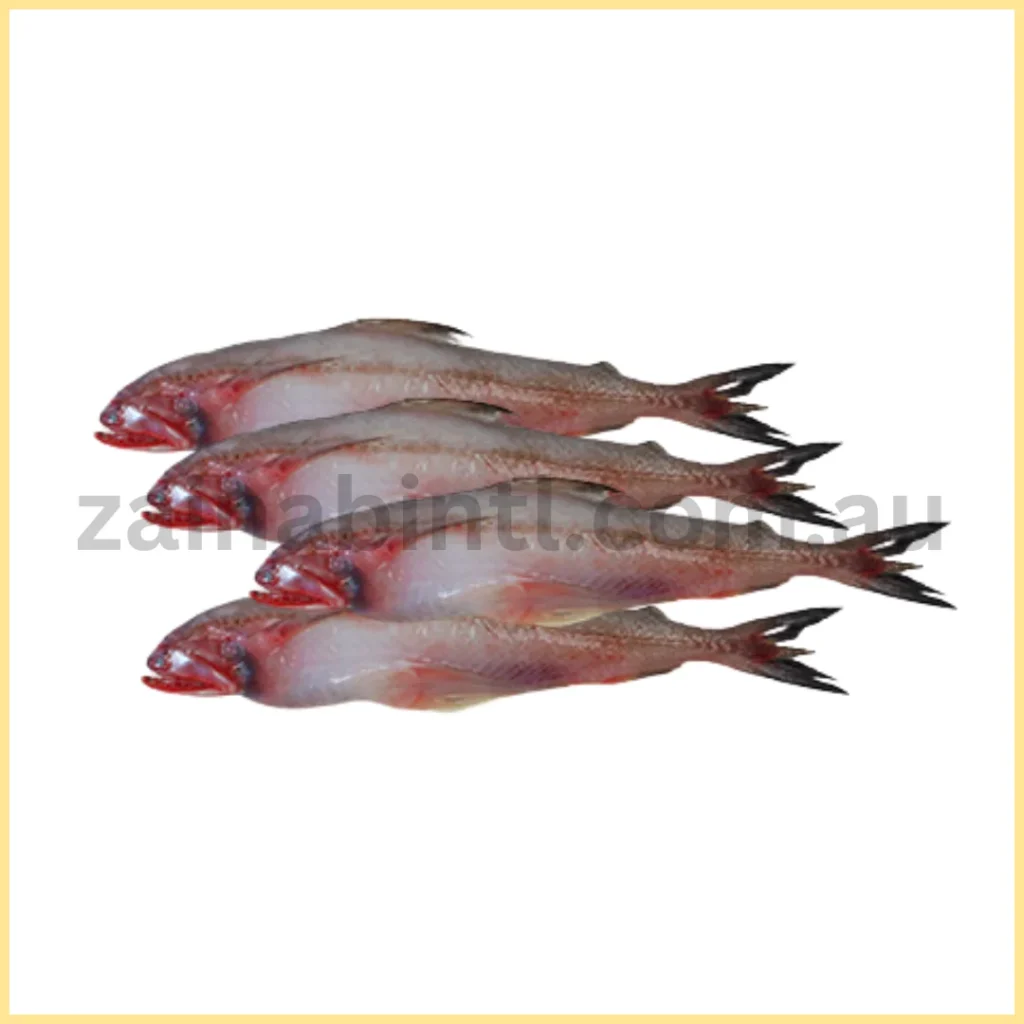 Lotia Fish IQF