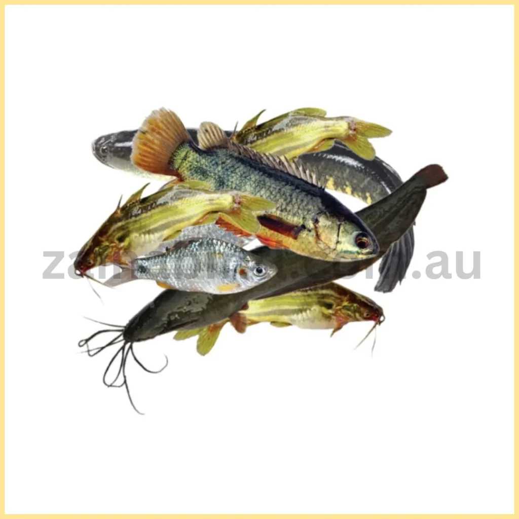 Mixed Fish (24 Pcs)