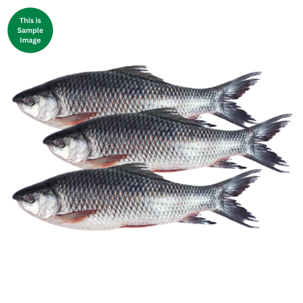 Ruhu Fish