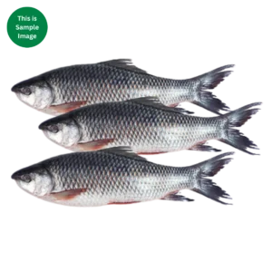 Ruhu Fish