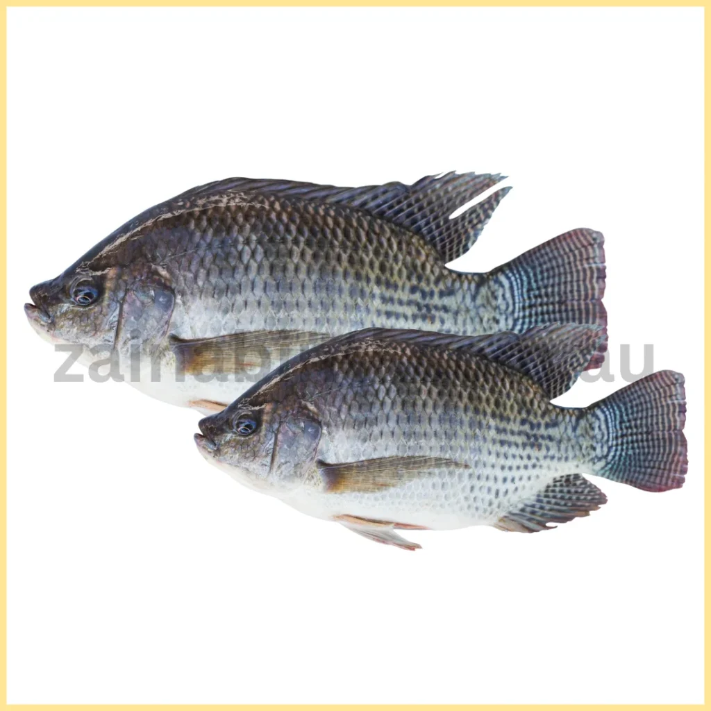 Telapia Fish 1 Kilo Up