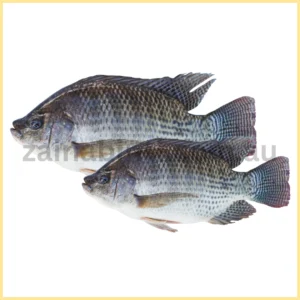 Telapia Fish 1 Kilo Up